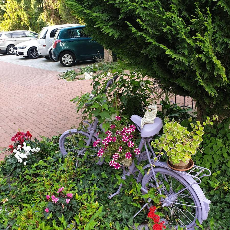 Alabastrom Panzio Es Etterem Bed & Breakfast Bogacs Luaran gambar
