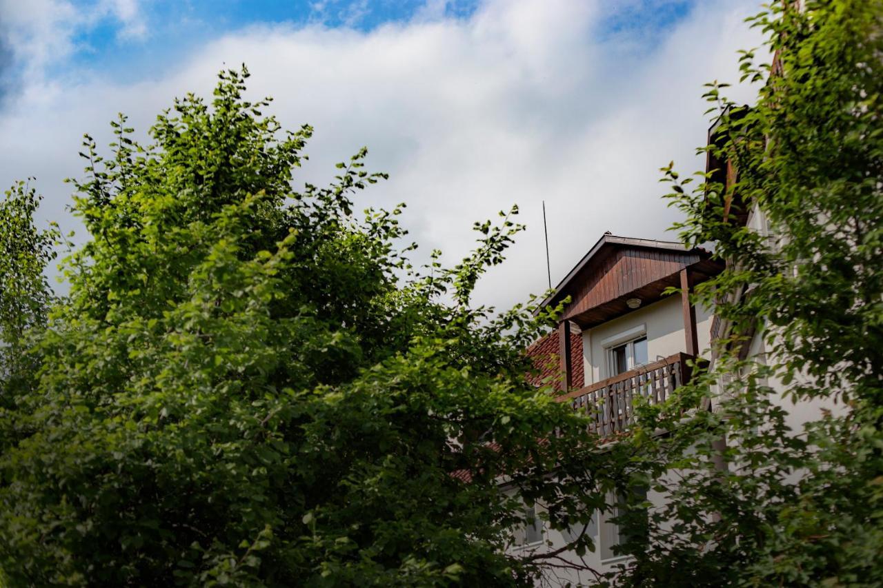Alabastrom Panzio Es Etterem Bed & Breakfast Bogacs Luaran gambar