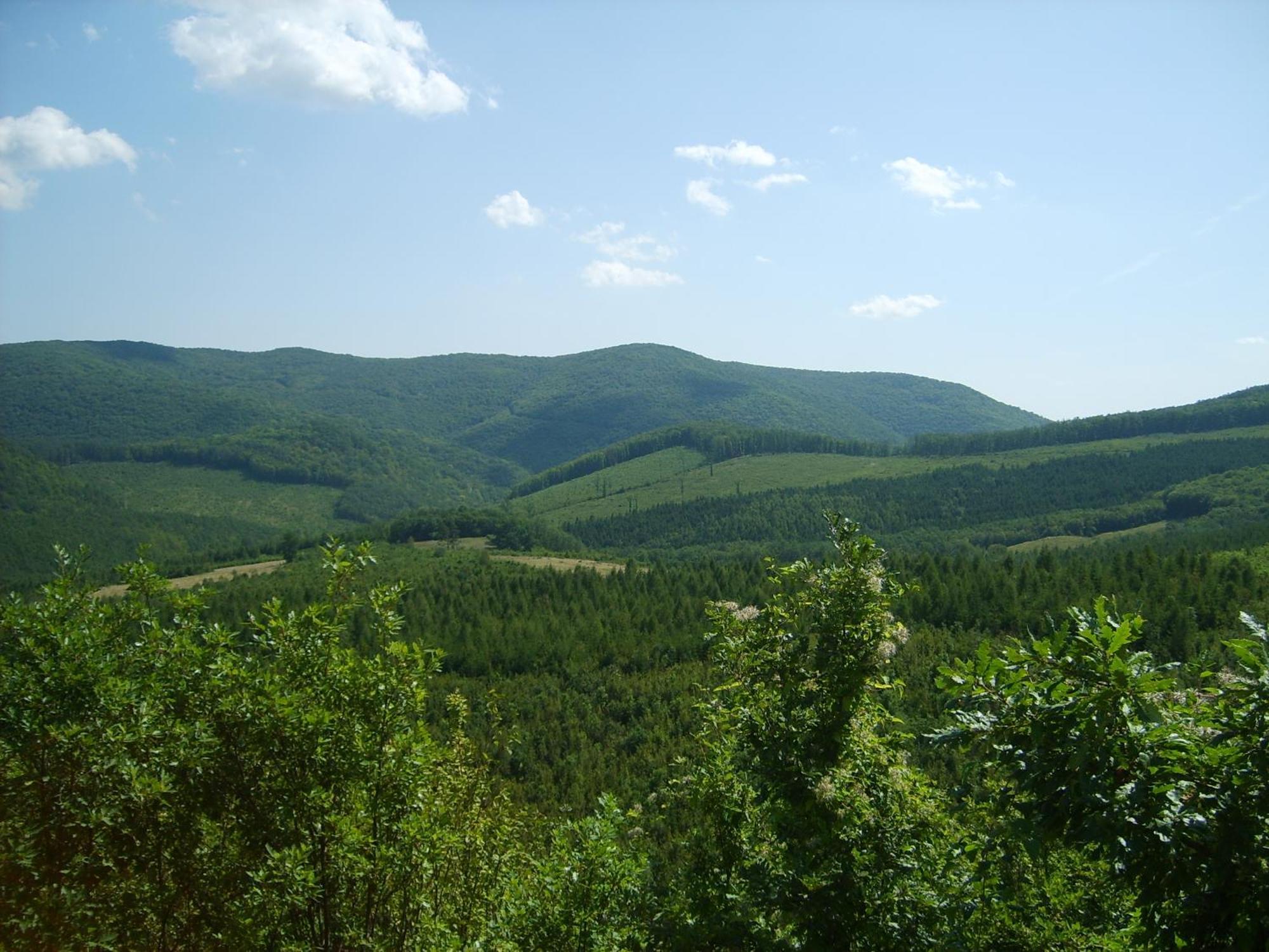 Alabastrom Panzio Es Etterem Bed & Breakfast Bogacs Luaran gambar