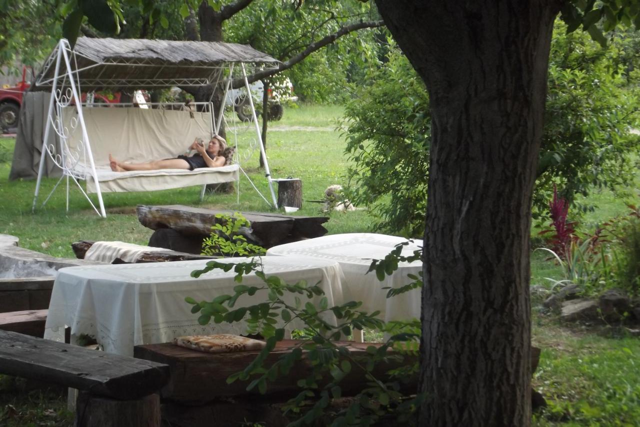 Alabastrom Panzio Es Etterem Bed & Breakfast Bogacs Luaran gambar