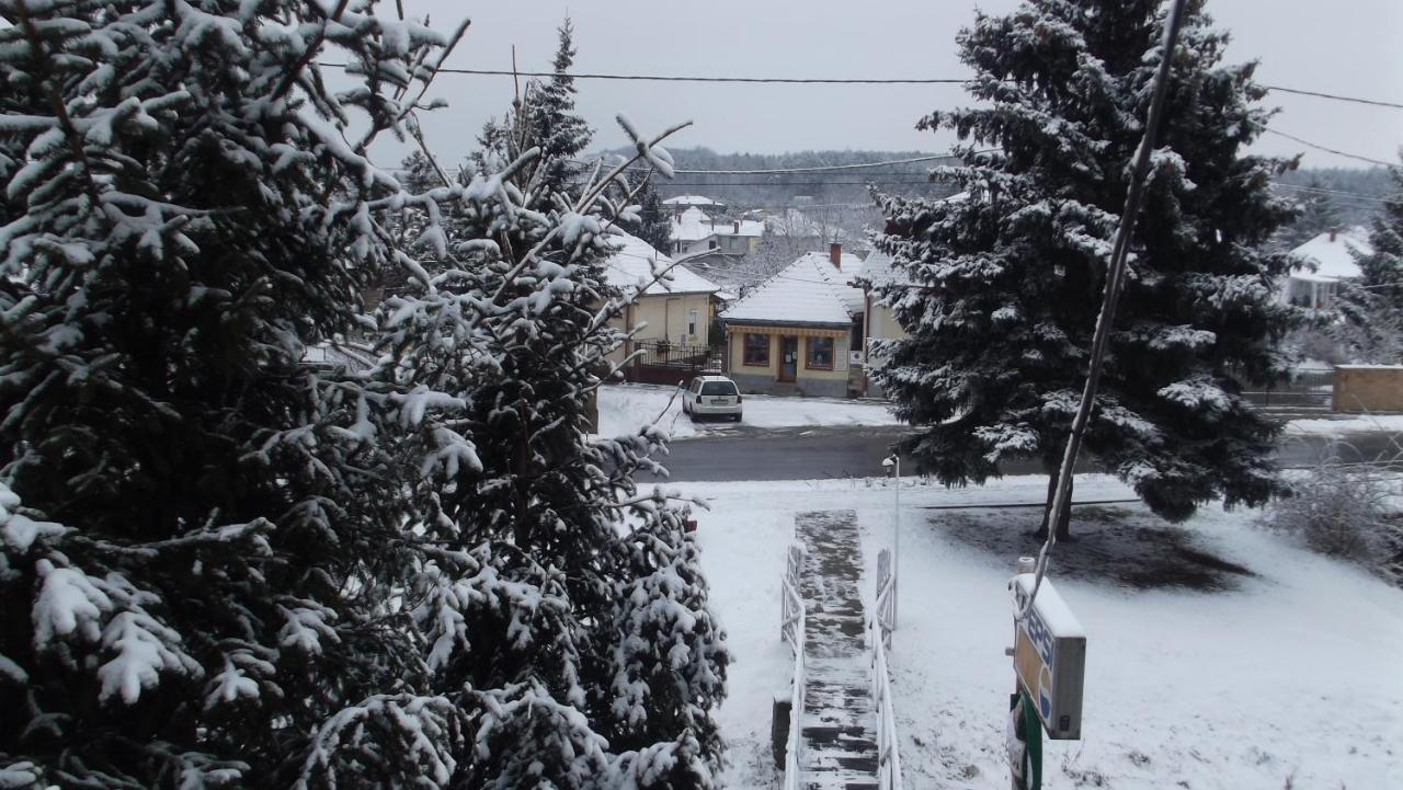 Alabastrom Panzio Es Etterem Bed & Breakfast Bogacs Luaran gambar